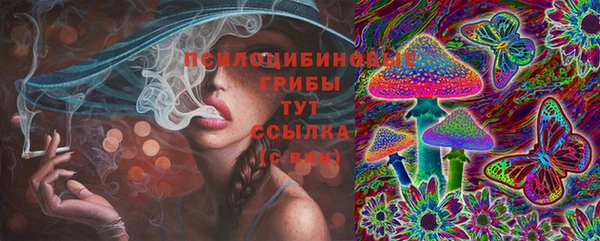 твердый Володарск