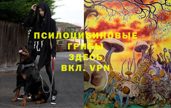 твердый Володарск