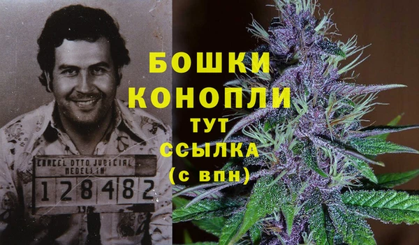 твердый Володарск