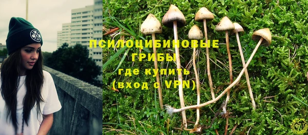 твердый Володарск